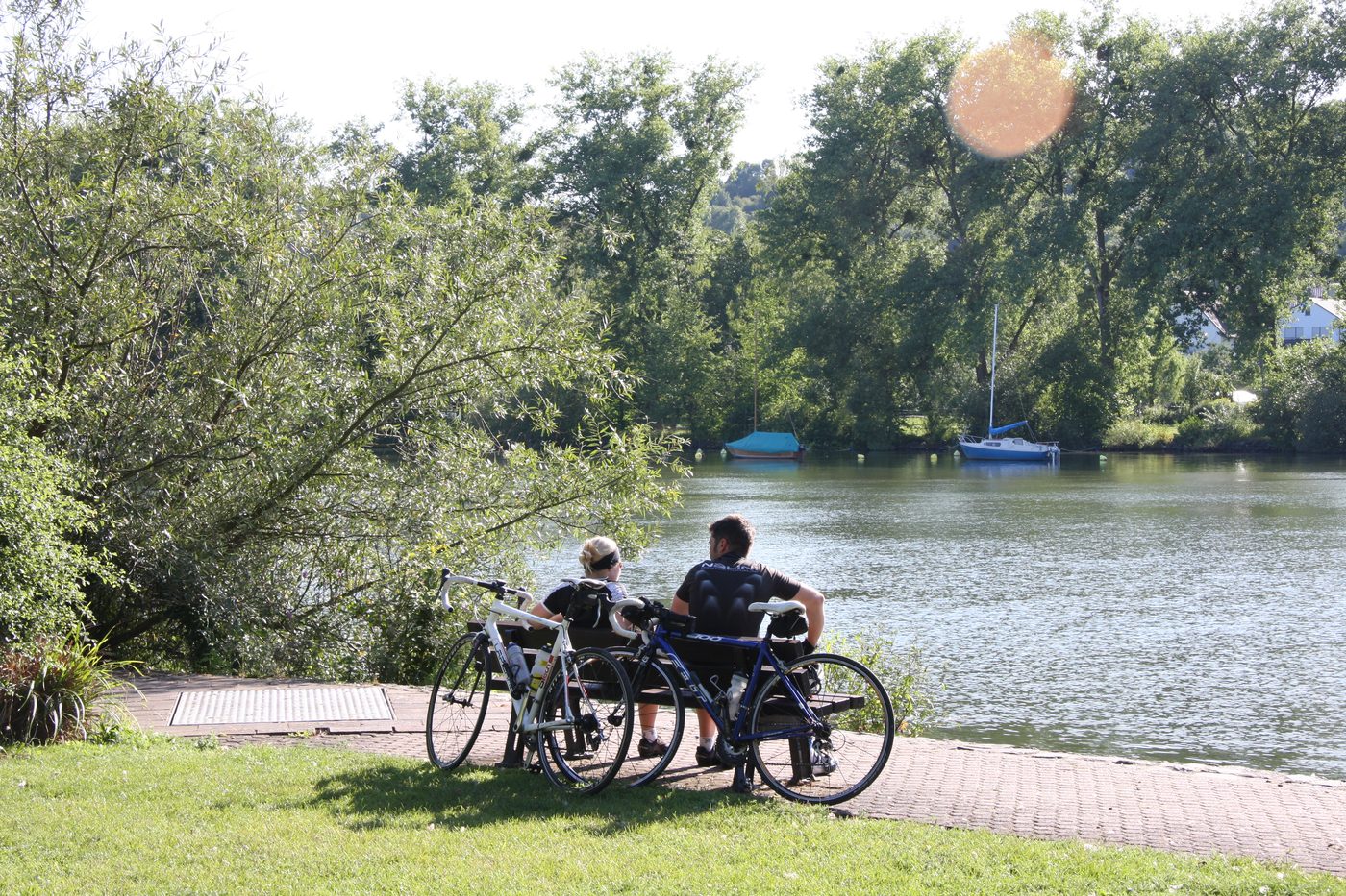 Radfahrer am Mainradweg in Veitshöchheim mit Blick auf den Main
